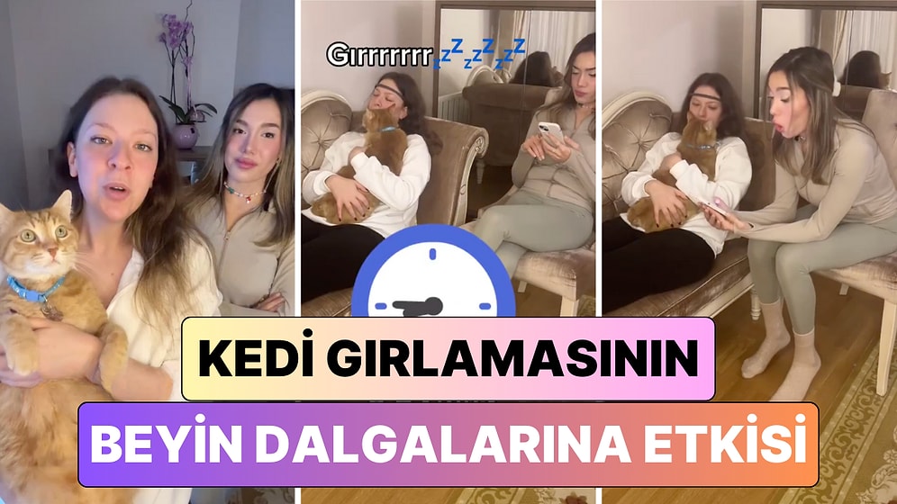 Sonunda Biri İnceledi: Kedi Gırlamasının Beyin Dalgaları Üzerinde Gerçekten Bir Etkisi Var mı?