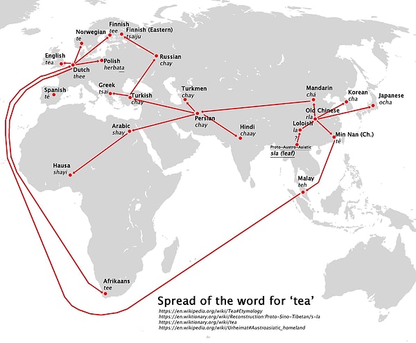 2. "Çay" kelimesi dünyada nasıl yayıldı?