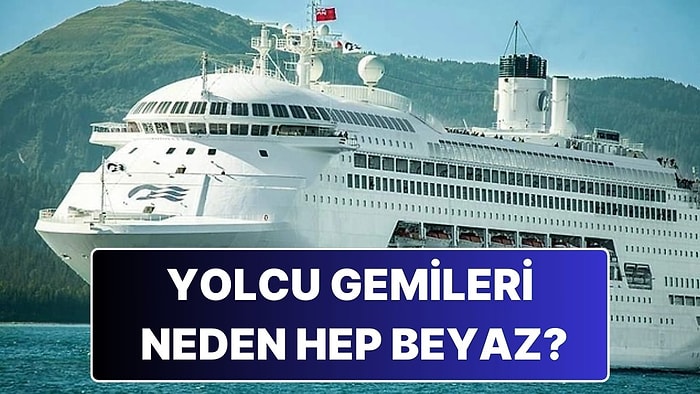 Yolcu Gemilerinin Hep Beyaz Olmasının Ardındaki Mantıklı Neden