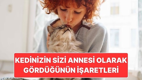 Kedinizin Sizi Annesi Olarak Gördüğünün 10 Tatlı İşareti