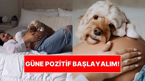 Fotoğraf Çekimi Yaptıran Hamile Sahibini Gören Tatlı Köpeğin Olaya Dahil Olduğu Anlar