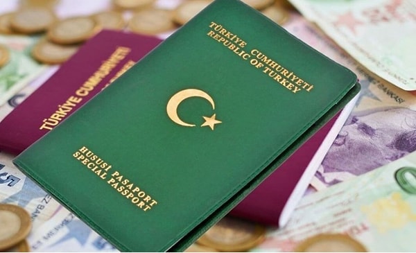 2024 yılında yeşil pasaporta olan yoğun talep devam etti ve toplam 1 milyon 407 bin 200 yeni yeşil pasaport basıldı. Böylece yeşil pasaport sahiplerinin sayısı 6 milyon 929 bin 100'e ulaştı.