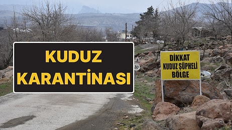 Şanlıurfa Siverek’te Kuduz Karantinası: Ölü Bulunan Köpek 3 Kişiyi Isırmış