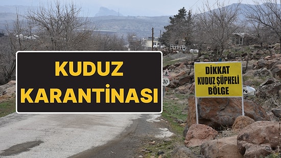 Şanlıurfa Siverek’te Kuduz Karantinası: Ölü Bulunan Köpek 3 Kişiyi Isırmış