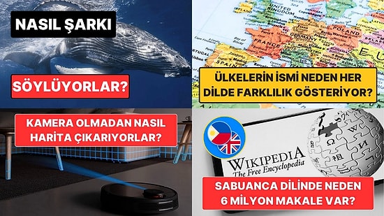 Sohbetlerin Aranan İsmi Olacaksınız: Arkadaş Ortamında Satabileceğiniz 15 Şaşırtıcı Bilgi