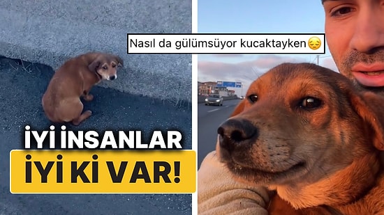 Yol Kenarında Korkuyla Yardım Eli Bekleyen Masum Köpeği Kurtaran Hayvansever İçimizi Isıttı