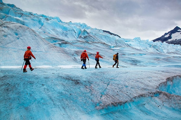 For the study, scientists examined samples from three field camps located in two remote areas of the South Pole: Union Glacier and Schanz Glacier.