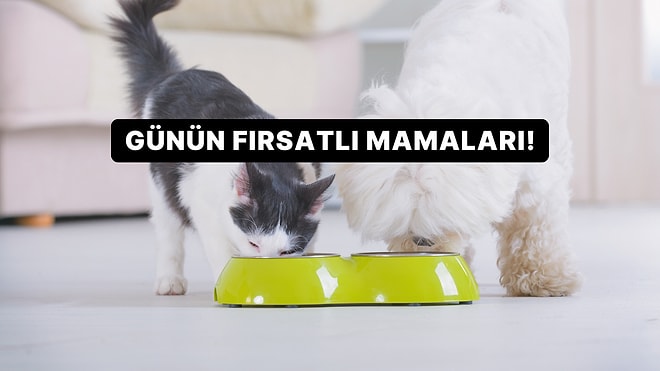 Mama Avcıları Buraya! Bütçenizi Zorlamayacak İndirimli Kedi ve Köpek Mamaları