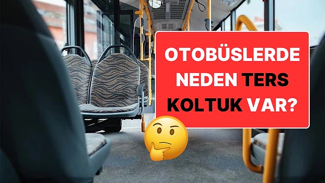 Otobüslerde Neden Ters Koltuk Var? Sebebini Mantıklı Bulacaksınız!