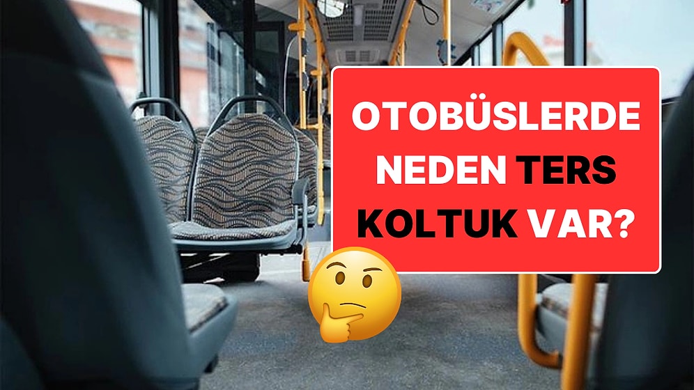 Otobüslerde Neden Ters Koltuk Var? Sebebini Mantıklı Bulacaksınız!