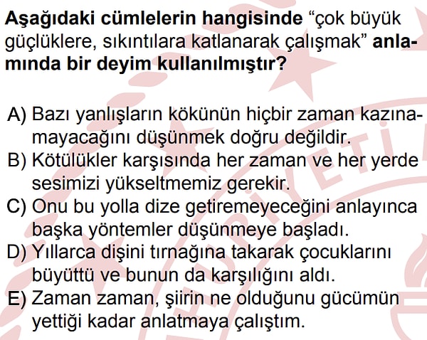 Şimdiye kadar sorduğumuz sorularda farklı yanıtlar aldığımız tek alan Türkçe oldu. Bilgi sorularında bütün yapay zeka araçlarından doğru cevapları aldık.