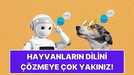 Hayvanlarla Konuşmamıza Ramak Kaldı! Bilim İnsanları, İlk Yapay Zeka Destekli Çeviri Modeli İçin Yarışıyor