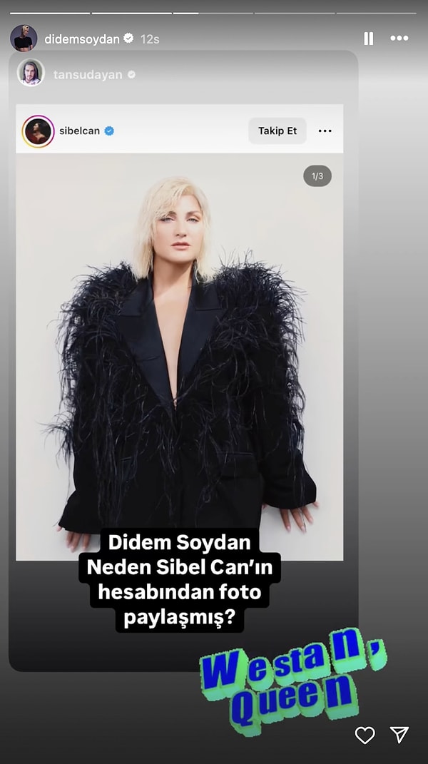 Didem Soydan