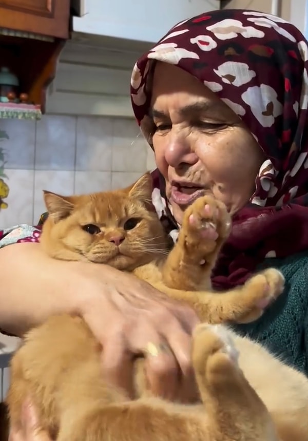 Teyzemiz kediyi görünce torununu unutarak bütün ilgisini sarman dostumuza yöneltti.