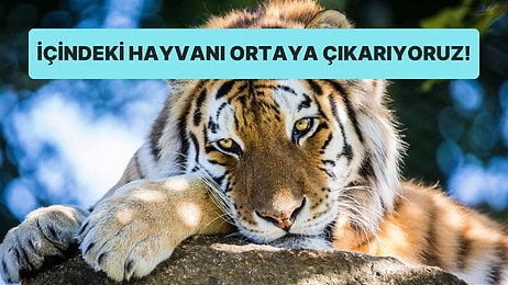 Kişiliğine Göre İçindeki Hayvanı Ortaya Çıkarıyoruz!