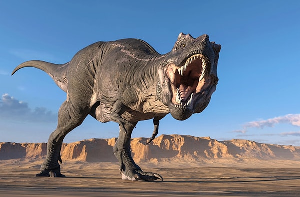 SikerGeçerusRex