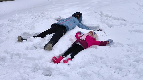 Ardahan'da olumsuz hava koşulları nedeniyle 3 ilçede eğitime yarın için ara verildi.