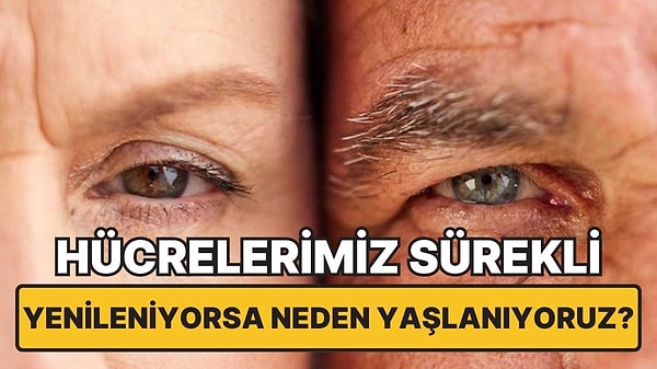 Kapak Görseli