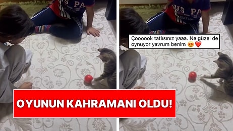 Sahipleriyle Top Oynayan Yavru Kedinin Gülümseten Anları