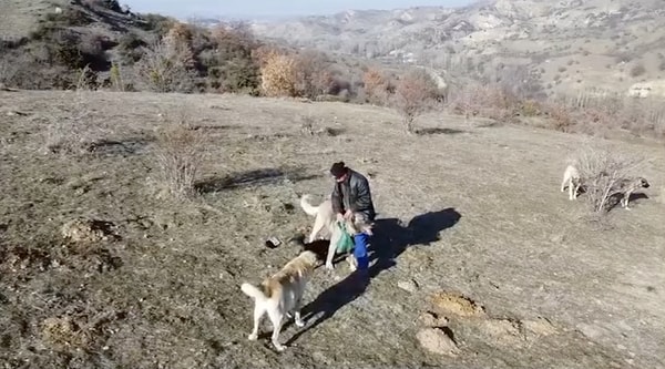 Köpeğin doğrudan yiyecekleri götürmesi gereken yere götürdüğü video izleyenlerin de içini ısıttı.