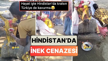 Hindistan'da Kutsal Sayılan İnekler Hayatlarını Kaybettiğinde Ne Yapılıyor?