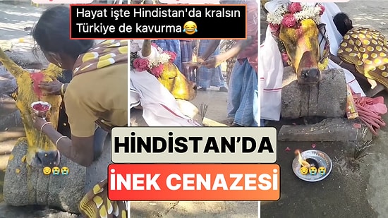 Hindistan'da Kutsal Sayılan İnekler Hayatlarını Kaybettiğinde Ne Yapılıyor?