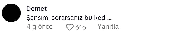 👇