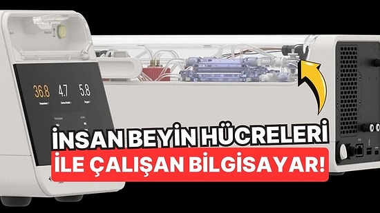 İnsan Beyin Hücreleriyle Çalışan İlk Bilgisayar Tanıtıldı!