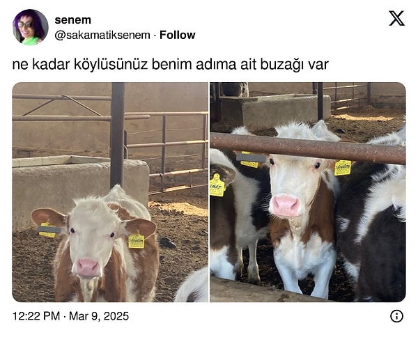 Bunun üstüne çıkamayız!