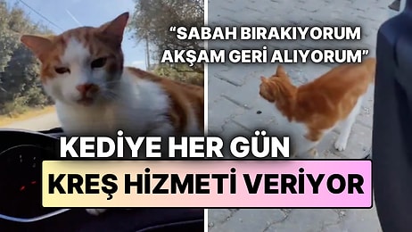 İzmir'de Duygulandıran Hikaye: Sahibi, Kedisini Her Gün Eski Sokağına Götürüp Geri Alıyor