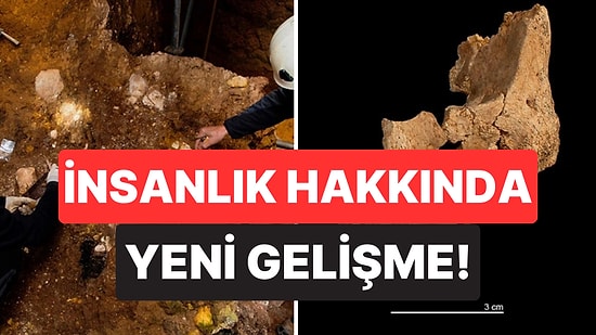 İspanya'da Batı Avrupa'nın En Eski İnsan Yüzüne Ait Kemik Parçaları Keşfedildi