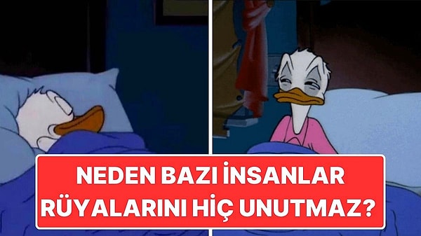 14. Neden Bazı İnsanlar Rüyalarını Her Zaman Hatırlarken Diğerleri Unutur?