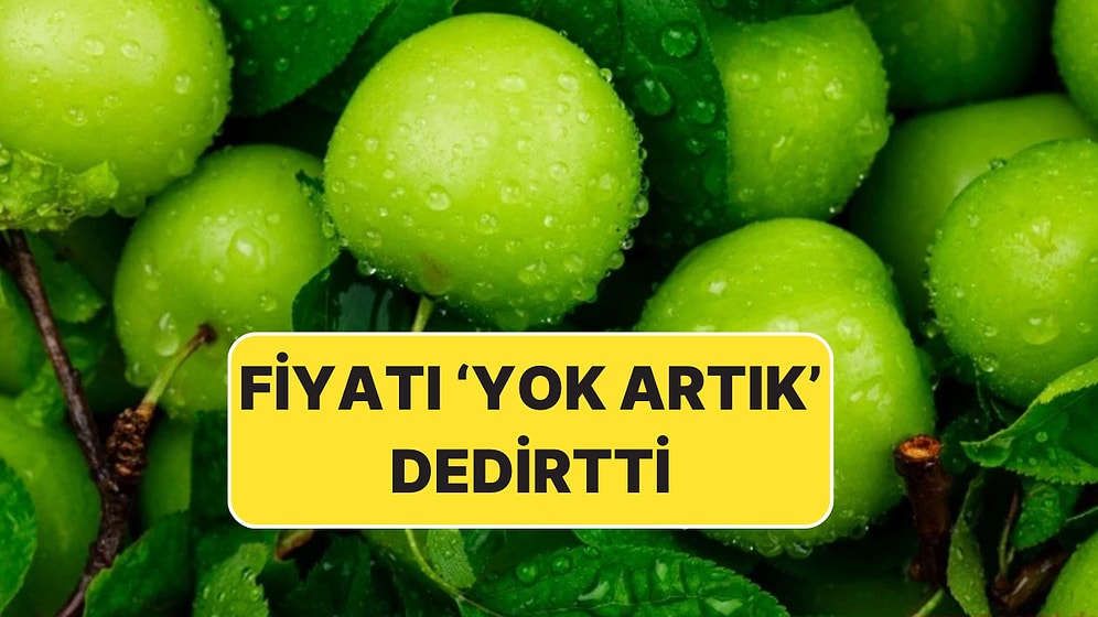 İlk Hasat Dubai'ye Satıldı: Eriğin Fiyatı Dudak Uçuklattı