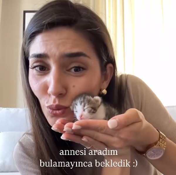 Anne kedi mutfağın kapısından girerek, yavrularını içerik üreticisinin evine getirmişti.