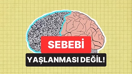 Ünlü Nörobilimci Açıkladı: Hafızanızın Son Zamanlarda Zayıflamasının Sebebi