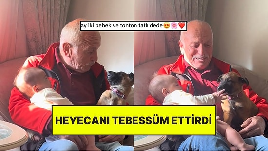 Torunu ile Yavru Köpeğini Tanıştıran Dedenin Sevgi Dolu Halleri İçimizi Isıttı
