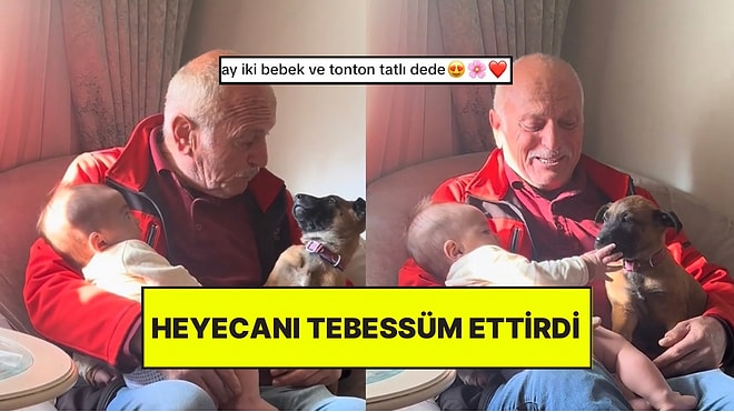 Torunu ile Yavru Köpeğini Tanıştıran Dedenin Sevgi Dolu Halleri İçimizi Isıttı