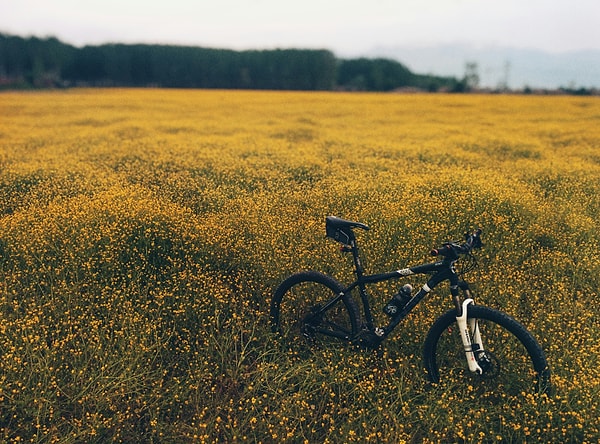 Whether you are a seasoned cyclist or a beginner, Türkiye's diverse and scenic cycling routes offer an experience like no other.