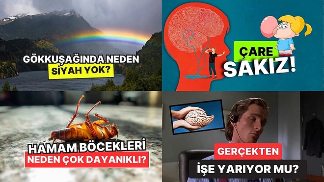 Sohbetlerin Aranan İsmi Olacaksınız: Arkadaş Ortamında Satabileceğiniz 15 Şaşırtıcı Bilgi