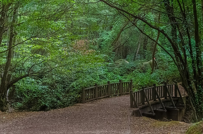 5 Best Hiking Spots in Istanbul to Enjoy Nature & Fresh Air