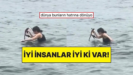 Denize Düşen Kediyi Kurtarmak İçin Bir Saniye Bile Düşünmeyen Koca Yürekli Kadın