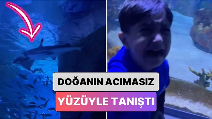 Dev Akvaryumda Balıkları Görmeye Giden Bir Minik Doğanın Acımasız Yüzüyle Tanışınca Neye Uğradığını Şaşırdı