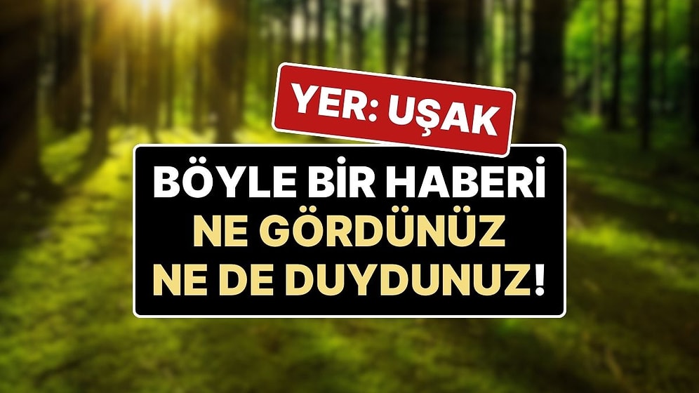 Ormana Gidince Kendisinden Haber Alınamayan Kişi, Kurtarma Ekipleriyle Birlikte ‘Kendisini Aradı!’