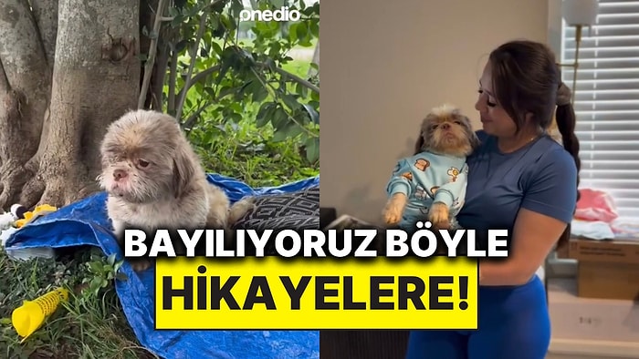 Parkta Buldukları Köpeği Sahiplenerek Yeni Bir Hayat Veren Aile Günümüzü Güzelleştirdi!