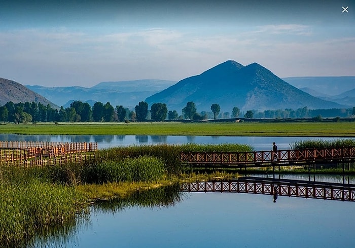 Discover the Bird Paradise of Tokat's Kaz Lake