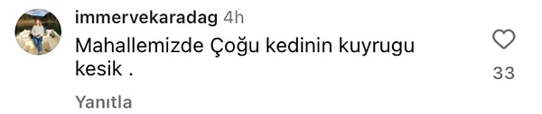 👇