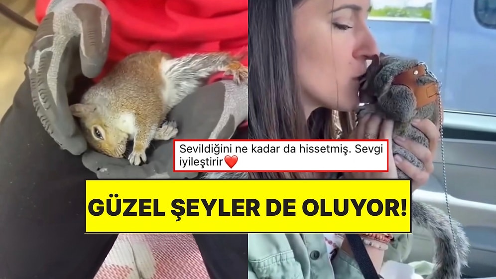Ağaç Kesimi Esnasında Düşen Sincabı Sevgiyle Hayata Döndüren Hayvansever Gönülleri Fethetti!