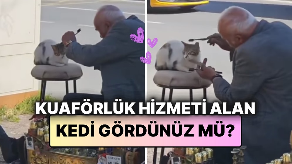 Kedisine Kuaförlük Hizmeti Veren Salih Amca'nın Videosu İçleri Isıttı!