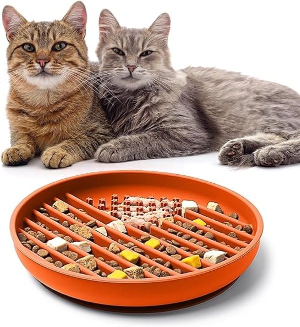 Yavaş Besleyici Kedi Kasesi