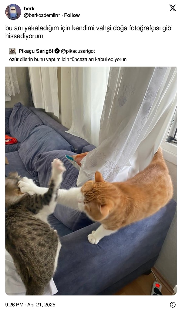 👇